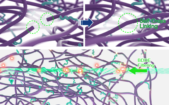 ¿Cuál es la mejor marca para relleno de labios? ¿Cuál es la mejor marca para relleno de labios?