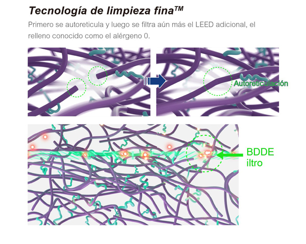 Ácido Hialurónico Inyectable en Glúteos Precio Ácido Hialurónico Inyectable en Glúteos Precio