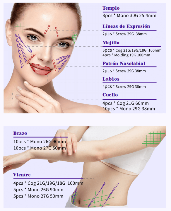 pdo西语2 pdo西语2