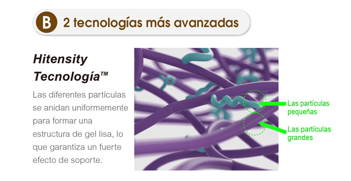 Macrolite_05西语 Macrolite_05西语