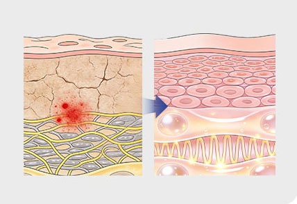 Dual Serum con exosomas y PDRN