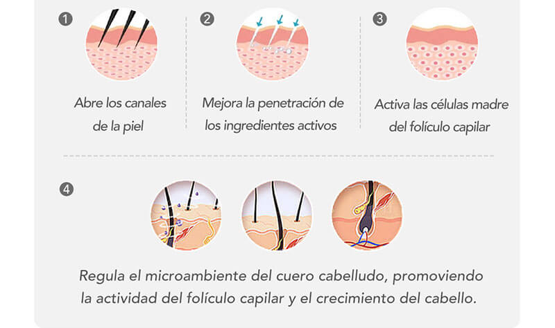 C&oacute;mo funciona EXOBLOOM exosomas capilar