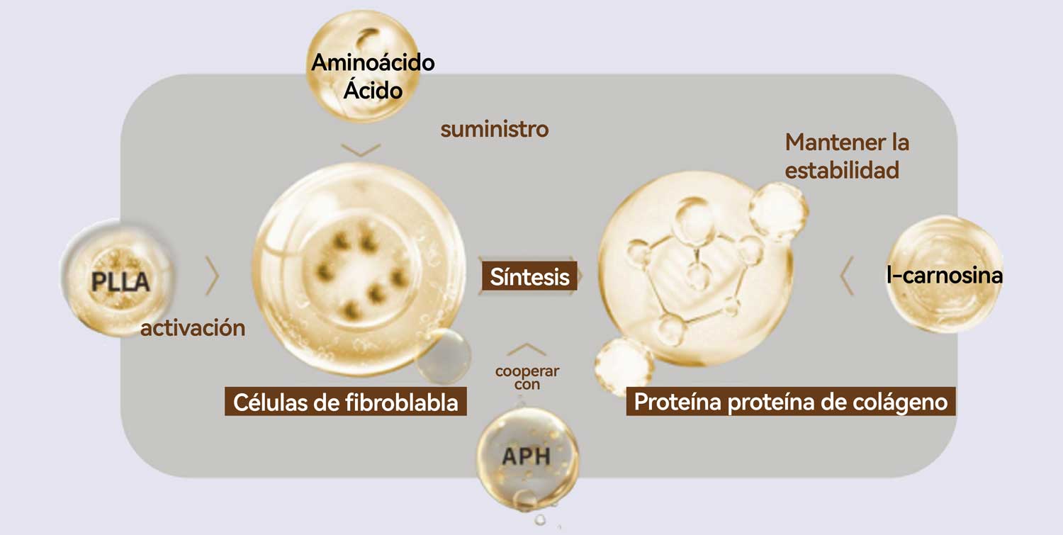 mesoterapia facial con PLLA