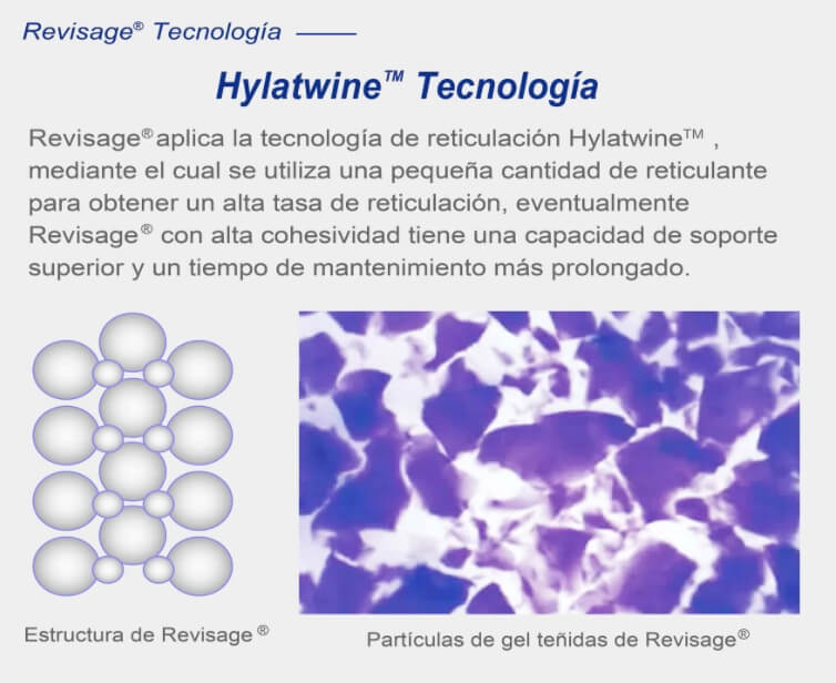 revisage tecnologia