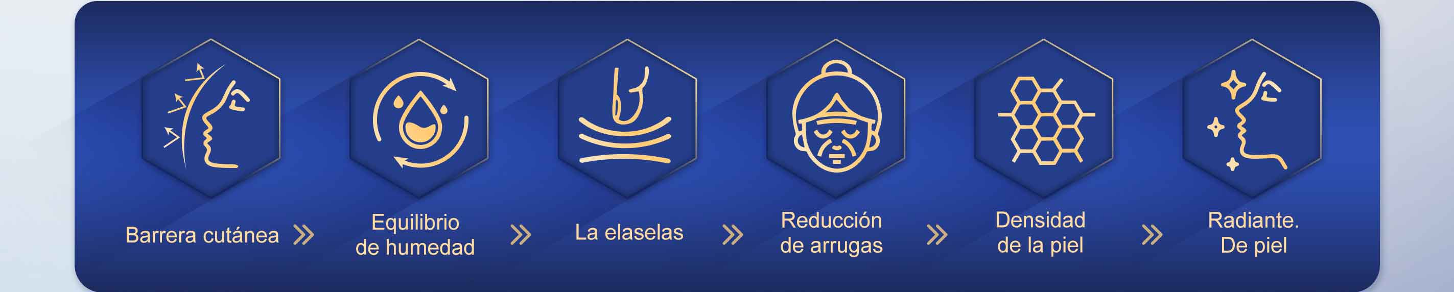 polinucle&oacute;tidos faciales