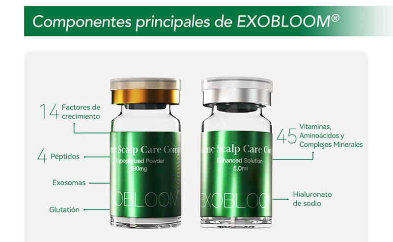 Componentes principales de EXOBLOOM