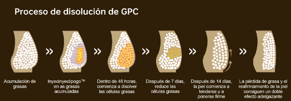 Solución Lipolítica