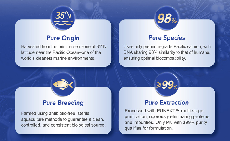 rellenos de polinucleótidos
