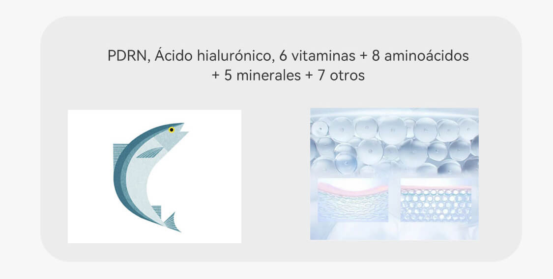 PDRN salm&oacute;n Donde comprar