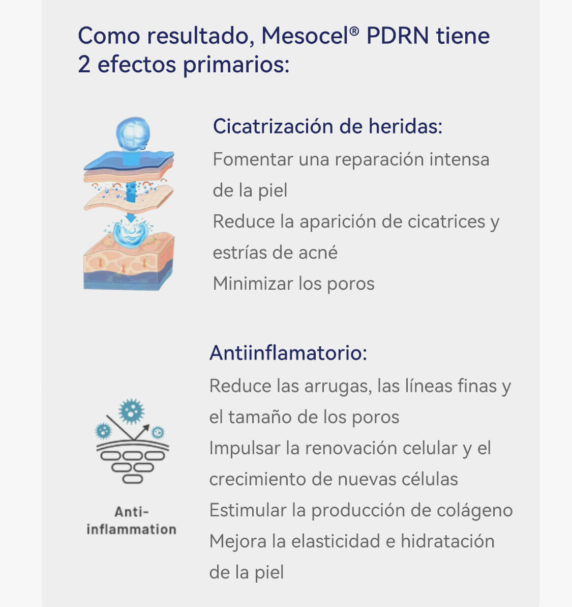 Soluci&oacute;n de PDRN de Salm&oacute;n en Ampolla