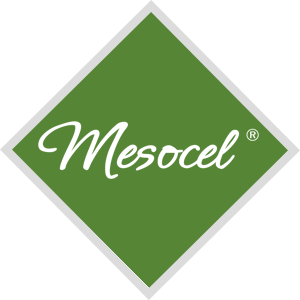 mesocel