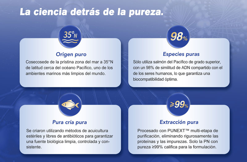 PN rejuvenecimiento facial